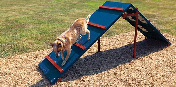 Dog deals playset outdoor